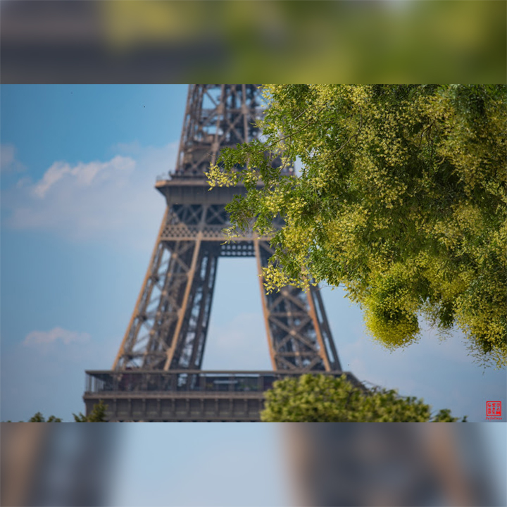 France-Paris-EiffelTower