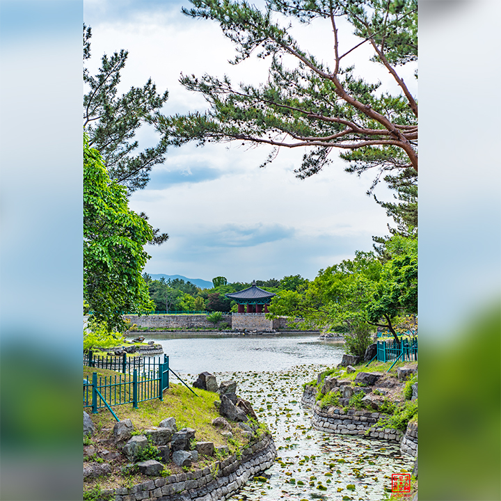 Gyeongju 경주 Palace