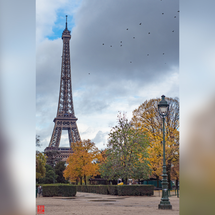 Paris - Wandering Alone