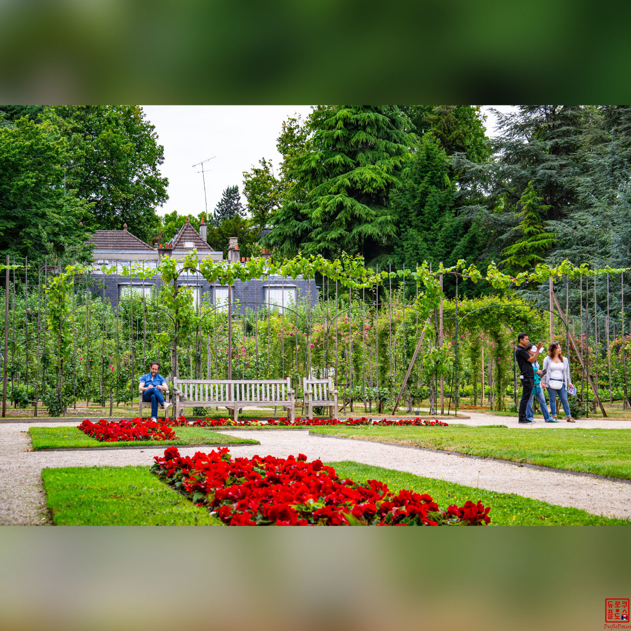 Journée dans les parcs de paris