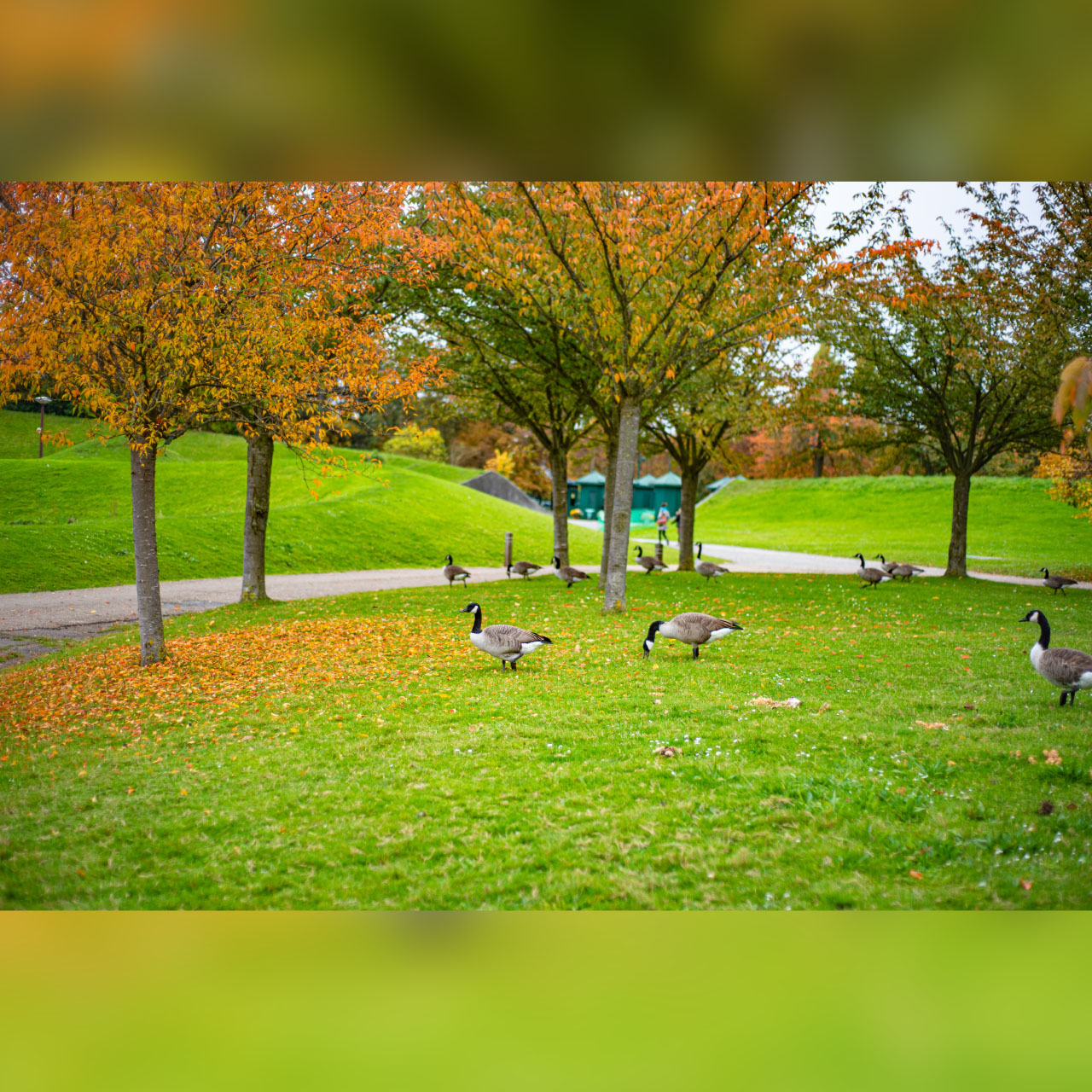 Balade à Vincennes