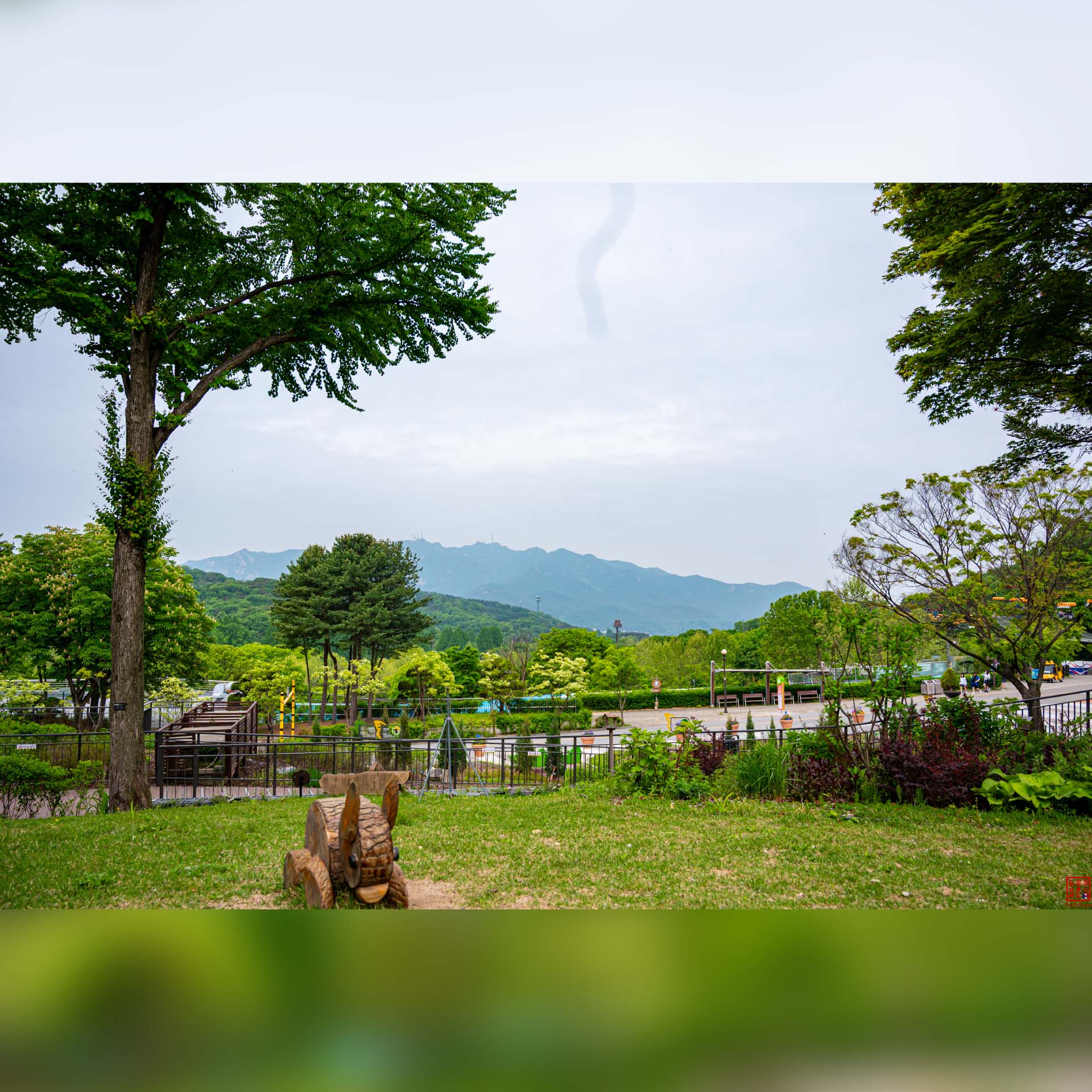 Vaste étendue herbeuse et arborée dans les espaces naturels du Seoul Grand Park