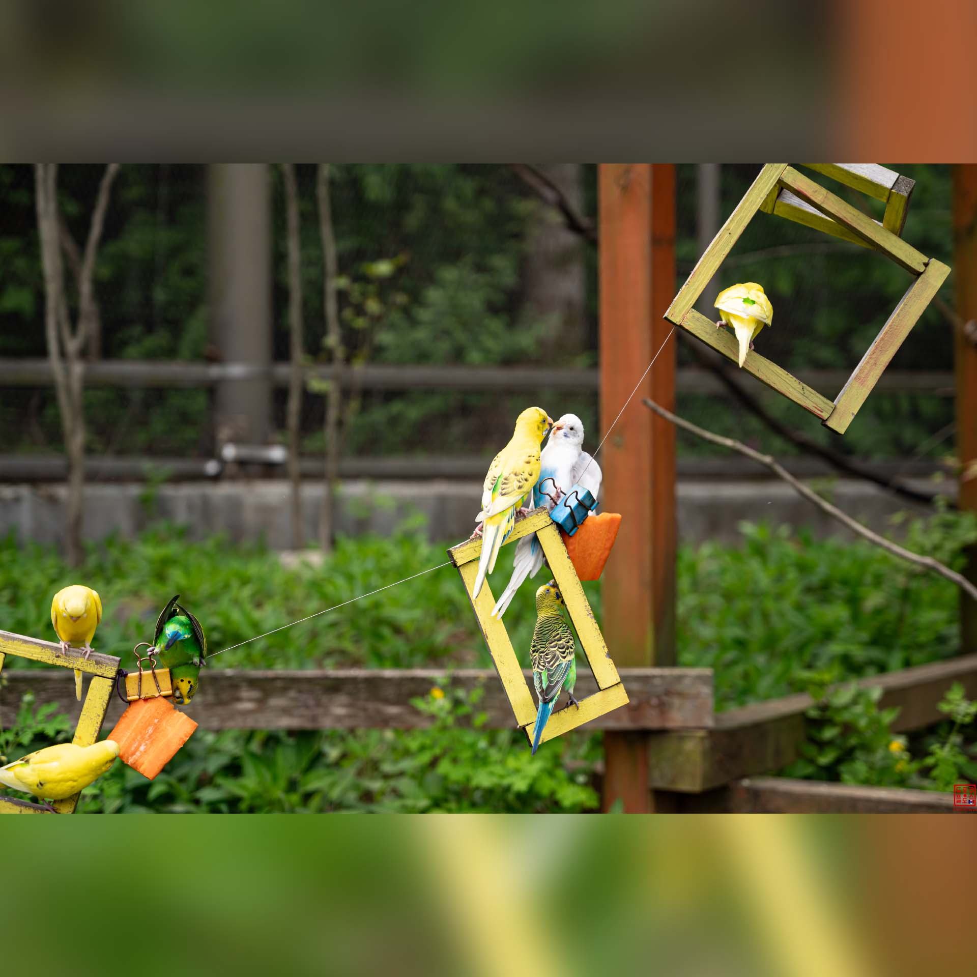 Enclos ou aire de jeux décorative avec des installations colorées