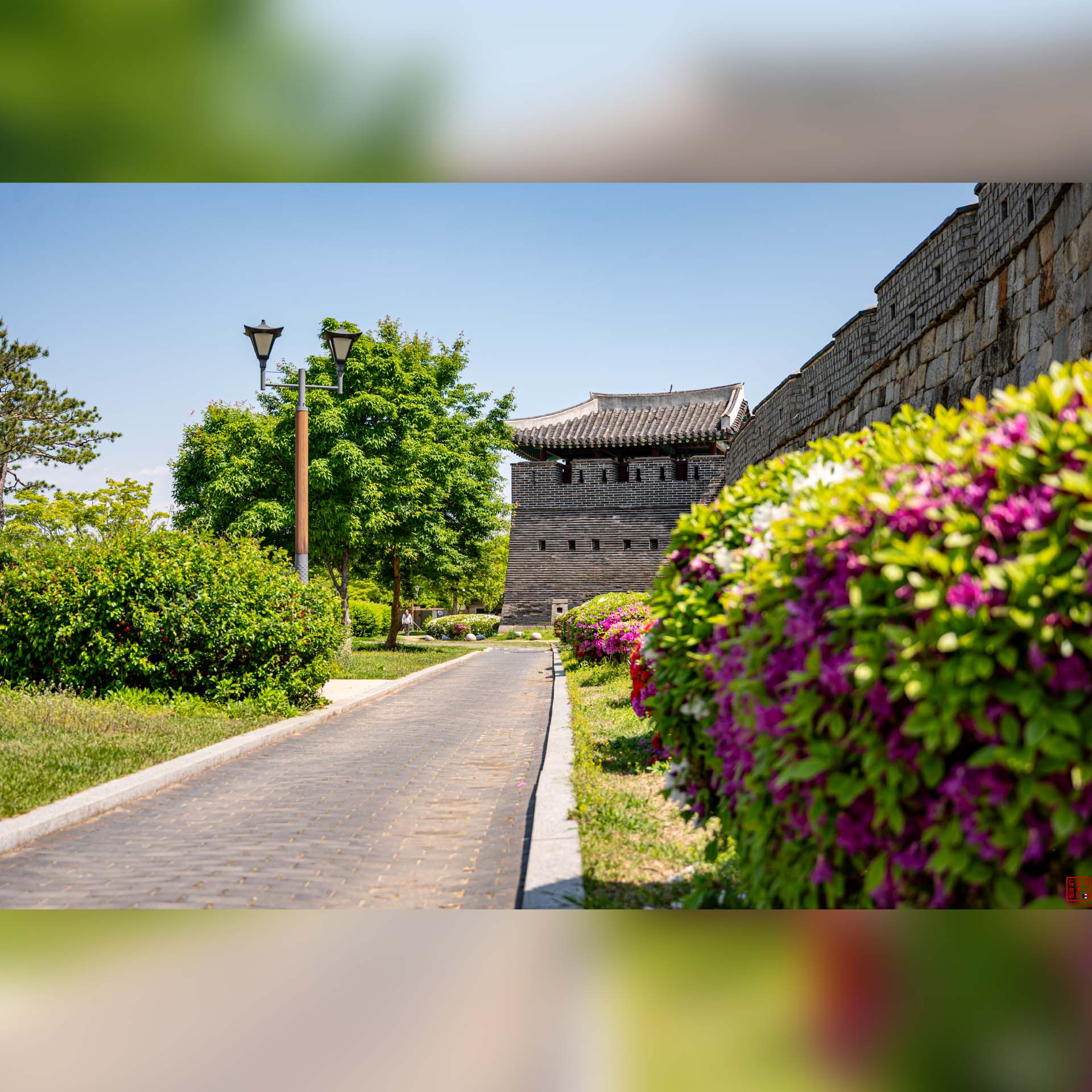 Chemin piétonnier longeant les massifs fleuris et les murs de la forteresse de Suwon