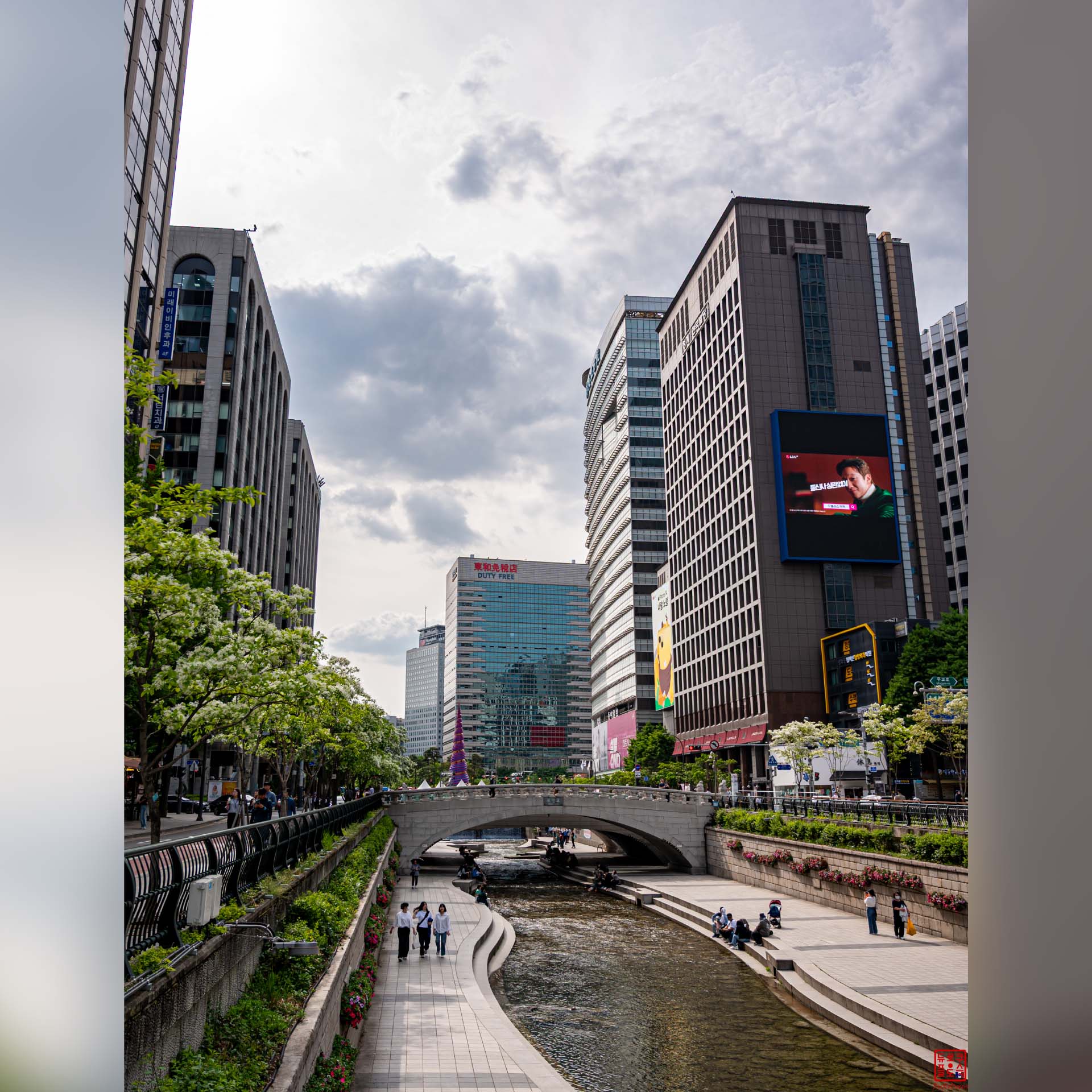 Aménagements paysagers et gratte-ciels le long des rives urbaines à Séoul