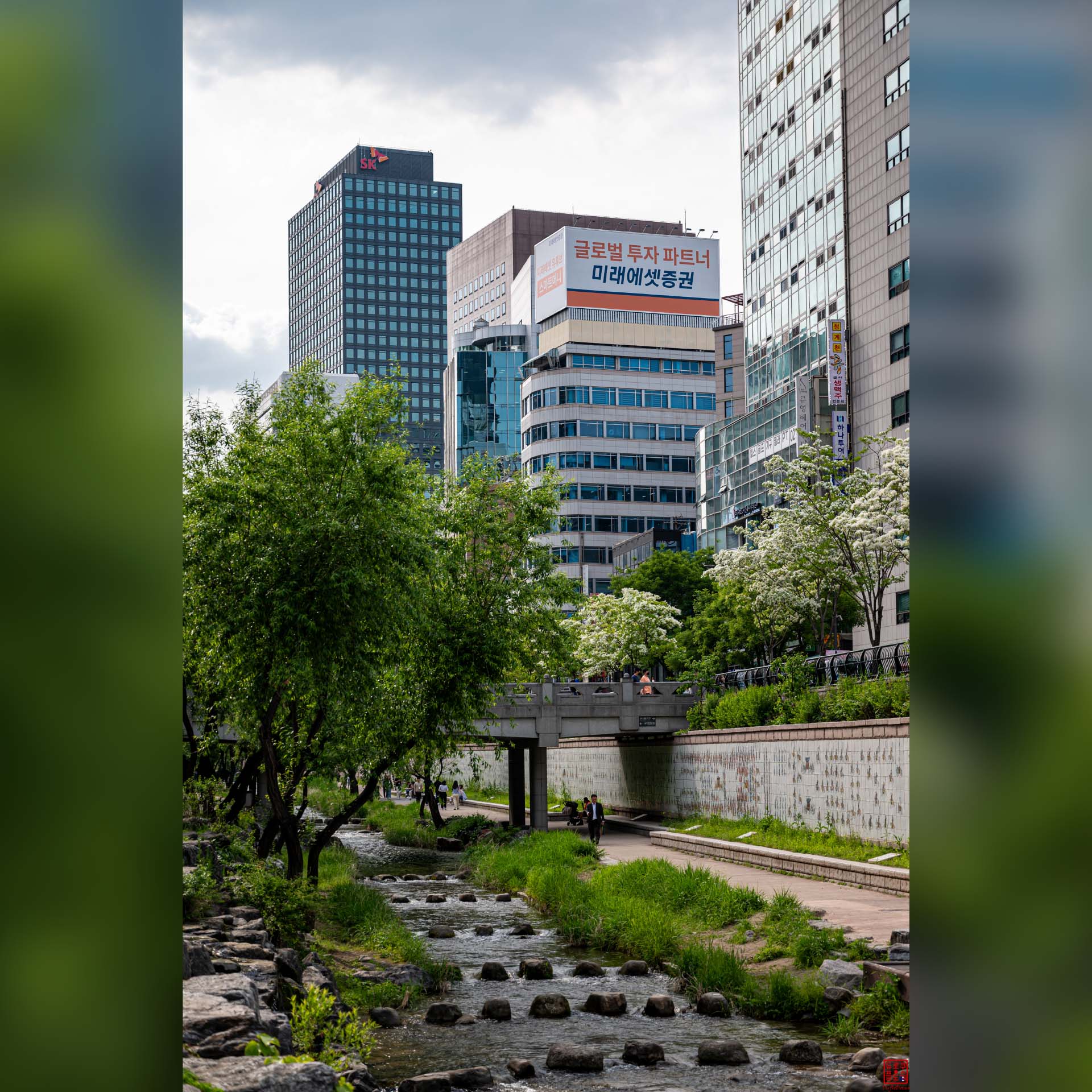Promenade verdoyante le long d'un ruisseau aménagé en plein milieu de Séoul
