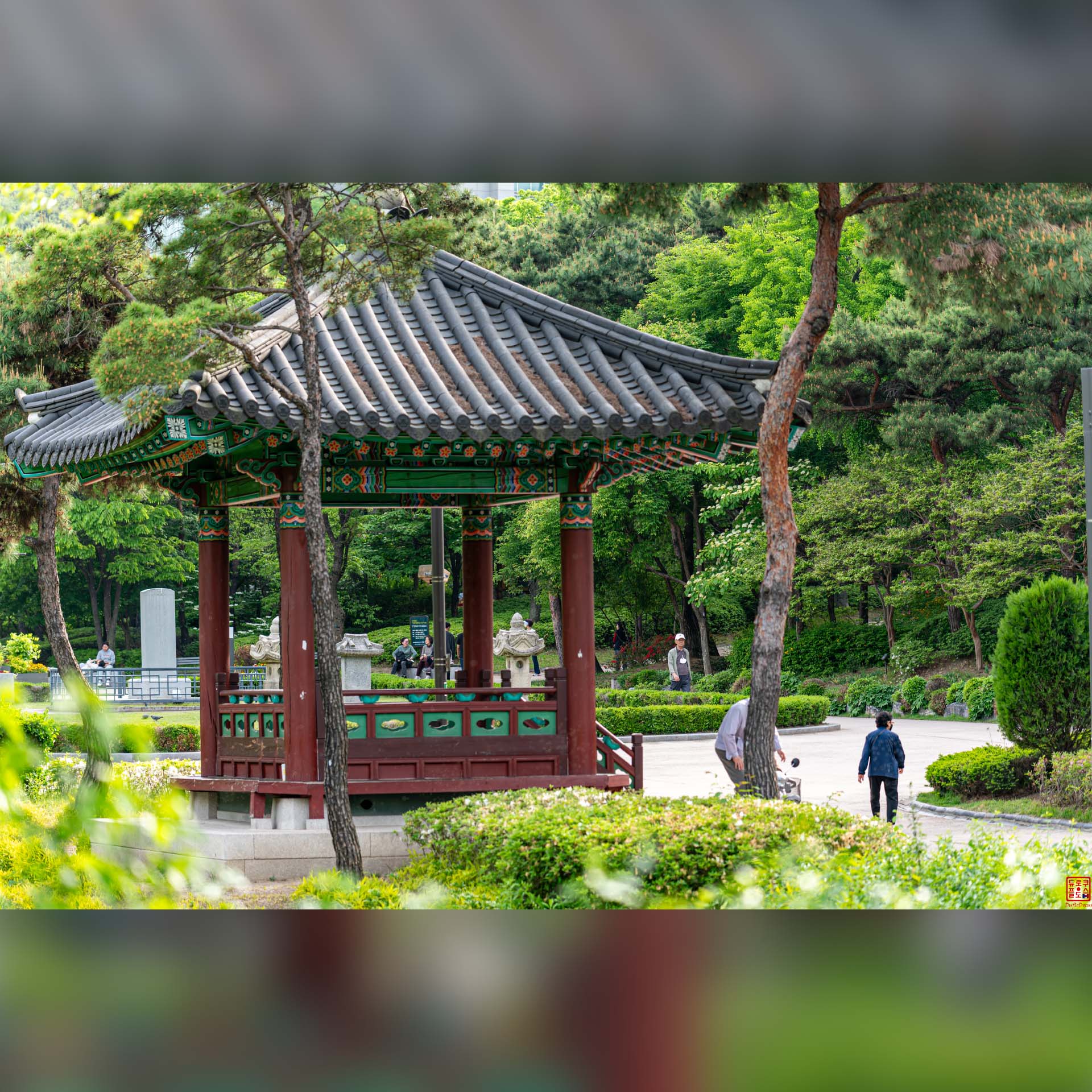 Pavillon traditionnel en bois entouré de verdure dans un parc de Suwon