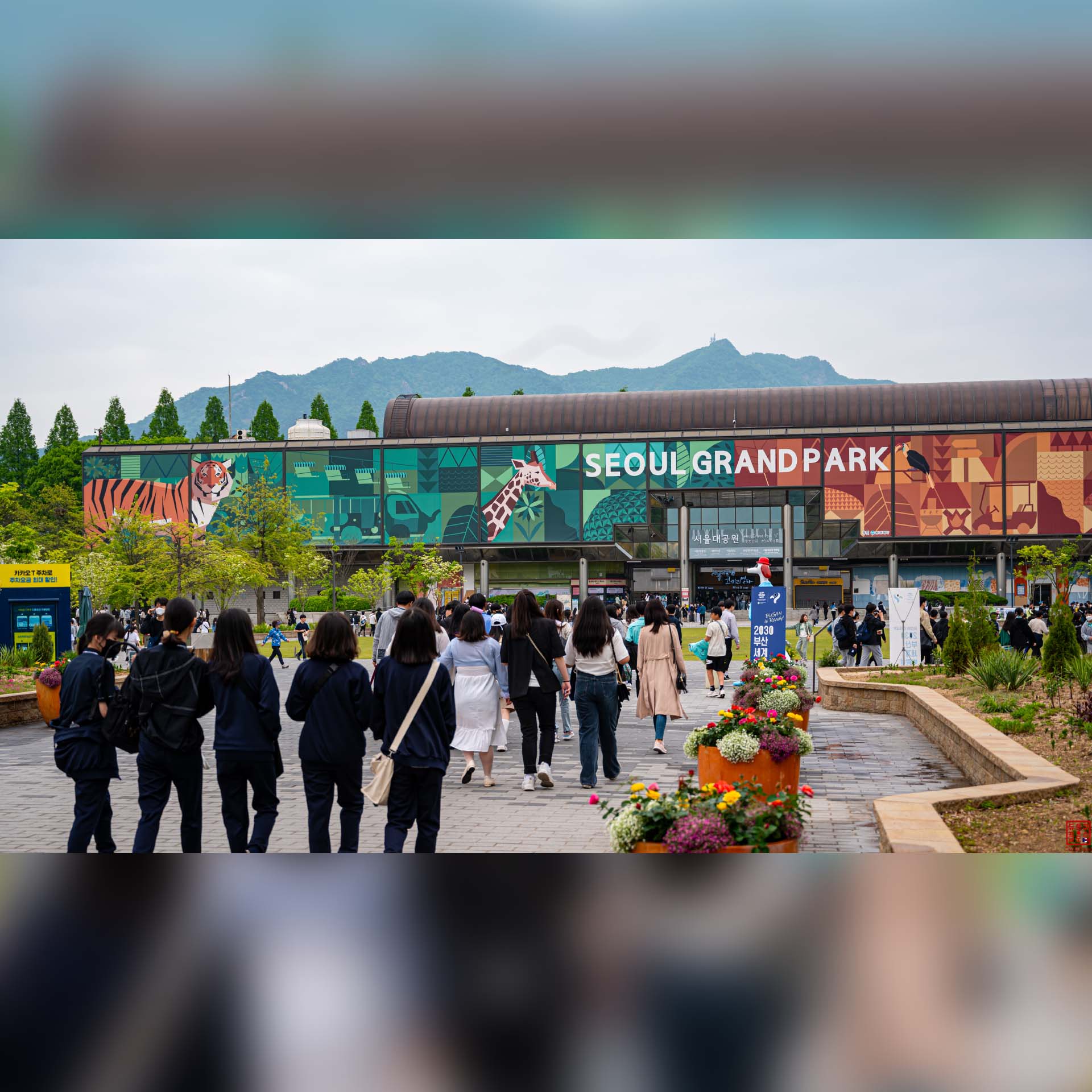 Visiteurs se promenant aux abords des installations du Seoul Grand Park en soirée